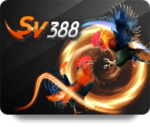 Khuyến Mãi VSBET Chính Thức 247 Mới Nhất Trong Năm